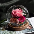 thumbnail image 1 of TopLLC Rose Flower LED Light Valentines Day Gifts Romantic Glass Rose Decor, 1 of 2
