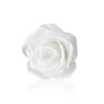 thumbnail image 1 of ziyahi Pack of 50 Artificial Bionic Flowers PE Foam Simulation Roses Fake Flower Decorations Wedding Party Engagement Presents White, 1 of 9
