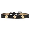 thumbnail image 1 of Gold Flower Widget Dog Collar Black Ice Cream Size 20, 1 of 1