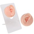 thumbnail image 4 of High Simulation Silicone Ear Model for Piercing Practice, Earring Display Props, Reusable, 4 of 7