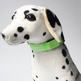 thumbnail image 5 of LSLJS Led Dog Collar Usb Rechargeable, Luminous Soft Nylon Webbing Suitable for Small and Medium-Sized Dog, 5 of 5
