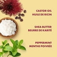 thumbnail image 2 of Shea Moisture Shampooing à l'Huile de Ricin Noire de Jamaïque, 2 of 9