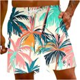 thumbnail image 1 of Cadeaux for Men LSLJS Men's Pantalon Décontracté Beach à Imprimé Spécial Shorts Pants Mens Shorts, 1 of 5