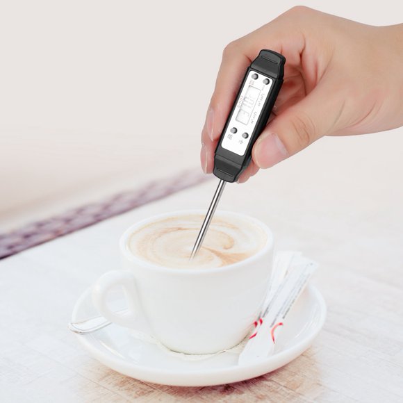 BBQ Thermomete, Sonde de Type Stylo Portable avec Sonde Longue Alimentaire, Cuisson pour la Cuisine BBQ Frites à la Viande Restaurtant Noir