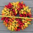 thumbnail image 5 of The Wreath Depot Blush Tulip Front Door Wreath 19 Inch, Stunning Spring Door Wreath, Beautiful Gift Box Included, 5 of 5