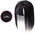 thumbnail image 1 of Maoww Embouts de Cheveux Base en Soie Embout Pinces en Cheveux Humains Embouts Postiches Supérieurs pour Femmes Couvre-Cheveux Clairsemés No.2, 1 of 6