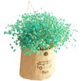 thumbnail image 1 of Coofit Artificial Flower Decorative Hanging Plant Wall Hanging Ornament with Sack, 1 of 9
