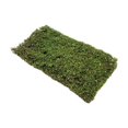 thumbnail image 1 of Milaget Grass Tufts Model DIY Simulation Grass Cluster DIY Scenery Landscape Railway S S, 1 of 9