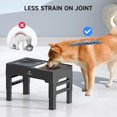 thumbnail image 3 of Els Pet 2 In 1 Elevated Feeding Station (Stainless Steel Bowl+Floating Bowl), 3 of 6