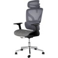 thumbnail image 1 of Twister.CK Ergonomic High Back Mesh Office Chair, Adjustable Armrest, Lumbar Support & Headrest, Slide Seat & Tilt Lock, Rolling Computer Desk Chair for Home Office, Gray, 1 of 7