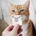 thumbnail image 4 of Ravensburger - Funny Animal Portraits Puzzle 3 x 49pc, 4 of 4
