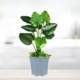 thumbnail image 4 of 5 Pcs Mini Pot de Fleurs Utile Mode Pot de Plante Succulente Décoration Maison, 4 of 7