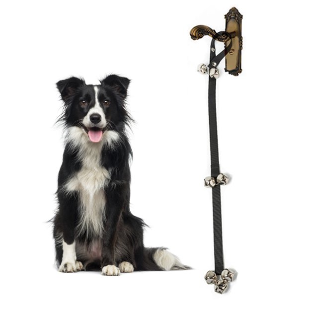 Chien Sonnettes Réglables Fort 7 Cloches Métal Formation Pot Bell Chiot Porte Cloche