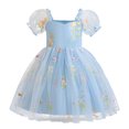 thumbnail image 1 of Yanlir Robe d'Été en Dentelle pour Fille, Princesse, à Volants, Sans Manches, Broderie, Tulle, Nœud, Robes; Robe de Fête à Col Rond; Tenue Imprimée Mode Printemps Été pour Enfants (Bleu, 1 An), 1 of 9