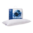 thumbnail image 1 of Quilted White Goose Feather Body Pillow, 1 of 8