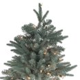 thumbnail image 3 of Northlight Real Touch™️ Pre-Lit Washington Frasier Fir Slim Commercial Artificial Christmas Tree - 14' - Clear Lights, 3 of 6