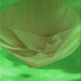 thumbnail image 1 of Ahgly Company Machine Washable Indoor Square Transitional Seaweed Green Area Rugs, 5' Square, 1 of 7