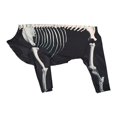 thumbnail image 1 of Halloween Skeleton Dog Costume Fancy Dress Props Clothes Decor Apparel for Party XL, 1 of 9
