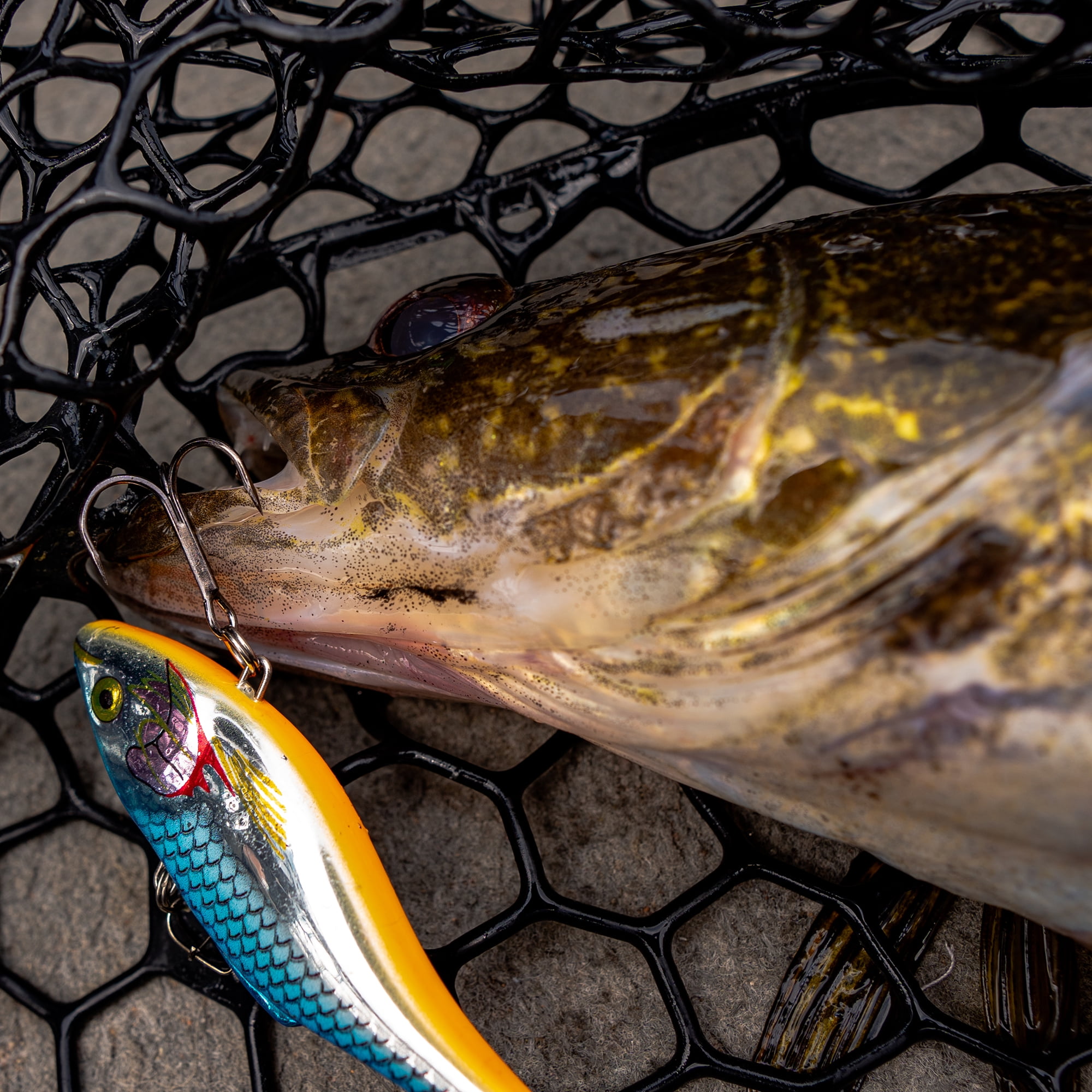 Rapala Rattlin' Rapala 3-1/8", Holographic Shad