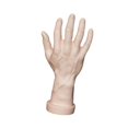 thumbnail image 4 of Bunblic Hand Model Jokes Toy Lifelike,Photo Props,Fake Hand Mannequin Hand for Cosplay Decoration Jewelry Display Party Nail Training skin, 4 of 8