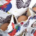 thumbnail image 4 of Biinggo Egg Collecting Apron, Waterproof, with 12 Egg Pockets, by Biinggo, 4 of 6