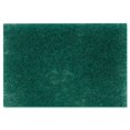 thumbnail image 1 of Scouring Pad - Pack of 3, 1 of 1