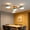 green, variant on EDHITNR Modern Semi Flush Mount Ceiling Light Nordics Wood Chandelier with Circular Acrylic LED Shade, 3 Color Dimmable Ceiling Light Fixture for Living Room Bedroom Dining Room Kitchen Hallway