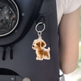 thumbnail image 5 of Porte-clés Collectionneur de Poils de Chien Porte-Clés Chien Porte-Clés Collectionneur de Poils de Chien Boîte de Rangement Commémorative Souvenir de Poils d'Animaux Porte-Clés Souvenir Transparent pour Collectionner les Poils de Chat et de Chien, 5 of 5