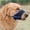 A, variant on Riforla Dog Muzzle German Dog Adjustable with Muzzle Large Dog Mouth Guard Adjustable with Dog Muzzle Suitable for Small Dogs Barking Breathable Mesh Dog Muzzle Pet accessories A L