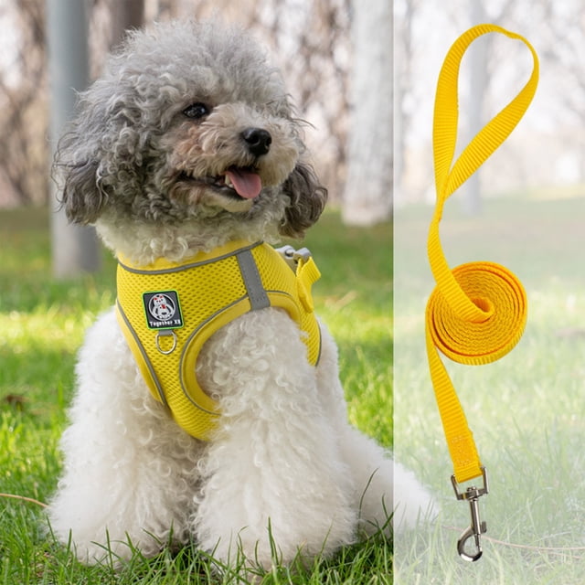 EGNMCR Pet Harnesses And Leash Set\ Soft And Breathable Vests With Reflective Strip\ Escape Proof Pet Harnesses\ Easy To Wear For Pet Walking And Running Dogs leash