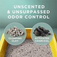 thumbnail image 4 of Purina Tidy Cats Clumping Cat Litter, Free & Clean Unscented Multi Cat Litter - 38 lb. Box, 4 of 5