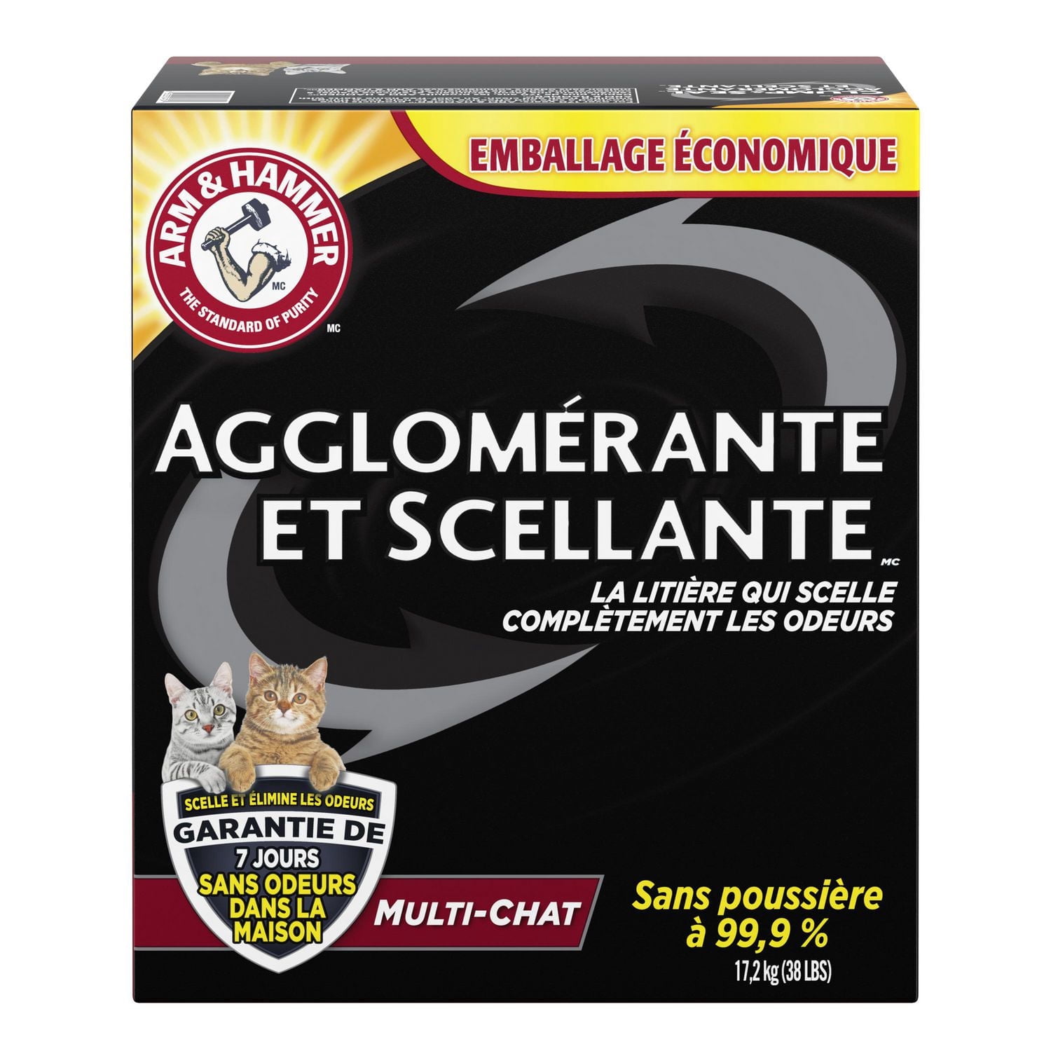 Arm & Hammer Clump & Seal Multi-Cat Clumping Cat Litter, 17.2 kg