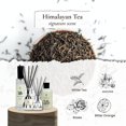 thumbnail image 4 of PRISTINE Himalayan Tea Reed Diffuser White Tea Scent/Reed Diffuser Oil Refill with 5 Cotton Reed Sticks Himalayan Tea | Scent Fragrance for Office, Bedroom,Living Room, or Bathroom, Home Décor, 1.6 Oz, 4 of 8