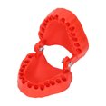 thumbnail image 4 of Denture Drill Bit Holder, 28 Bits Organizer, Portable Denture Bit Holder with , Shock , Durable Bits, Special Tooth Die Design, Versatile Use, PETG Material, 4 of 8