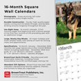 thumbnail image 2 of BrownTrout German Shepherds 2024 12x24 Inch Square Wall Calendar, 9781975462833, 2 of 8