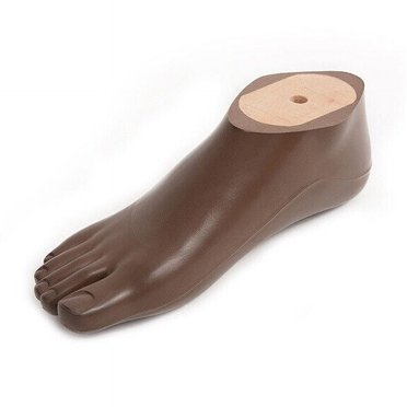 Prothèse de Pied de SACH de Haute Qualité Taille 12cm-30cm Beige Marron Enfants Adultes Membres Artificiels Prothèse de Pied de SACH Pièces de Jambe de SACH en Polyuréthane avec Adaptateur