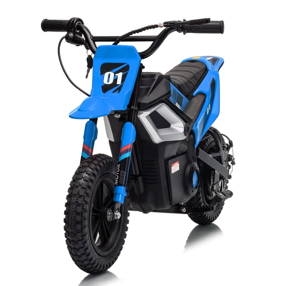 QinaQin 24V Kids Electric Dirt Bike, 350w Motorcycle with 10 MPH Max Speed & 12-Mile Range,Rear Wheel Suspension, Twist Grip Throttle, Rubber Tires