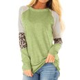 thumbnail image 1 of Nlife Women Colorblock Stripes Leopard Print Crew Neck Long Sleeves Top, 1 of 8