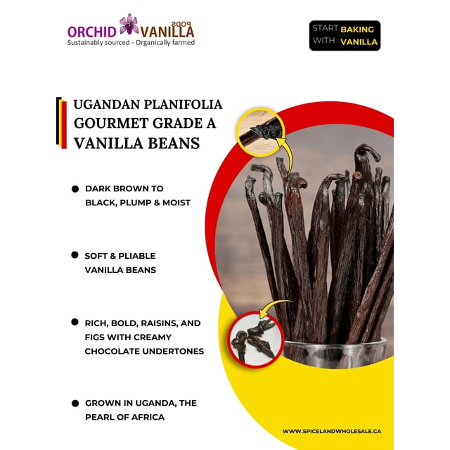 Ugandan Vanilla Beans Grade A (50 Beans) - For Baking, Vanilla Extract & Desserts - Non-GMO