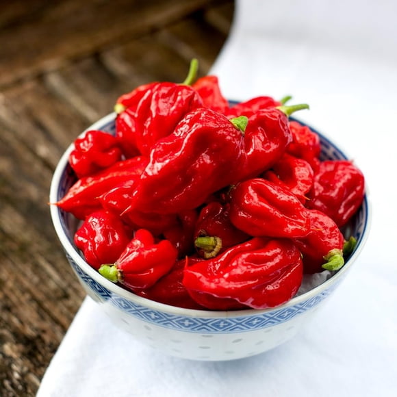 GSDWIUEW Carolina Reaper Pepper Seeds, 100 Seeds Pack, World s Hottest Chilli, Organic,