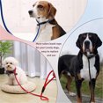 thumbnail image 2 of TIMIFIS Dog Harness Dog Walking Rope Pet Car Seat Belt Cat And Dog Traction Safety Rope Dog Collars, Harnesses & Leashes - Summer, 2 of 3