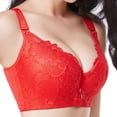 thumbnail image 2 of B91xZ Women's Plus Size Unlined Underwire Bra Plus Size Lace Unlined Underwire Bra,F 40/90E, 2 of 5
