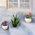 thumbnail image 3 of RXIRUCGD Artisanat en Fer Tequila Plante Jardin Ornement de Jardin, 3 of 4