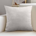 thumbnail image 5 of Dvruxg Velvet Throw Pillow Covers 16x16 Inch - Soft Square Decorative Cushion Cover for Couch, Sofa, 5 of 5