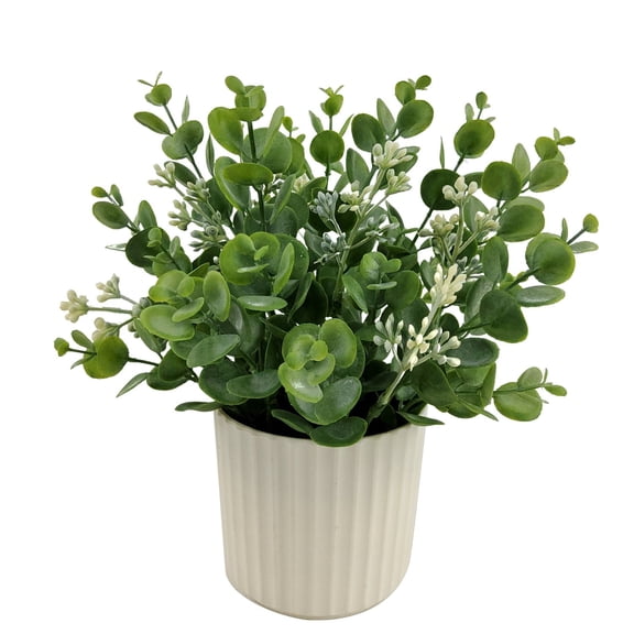 Mainstays 25cm plante d’eucalyptus ensemencée artificiellement en Pot blanc, couleur verte.