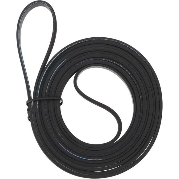 Be In Your Mind 1x Dryer Drum Drive Belt W10198086 Compatible with Maytag Whirlpool Dryer for WPW10198086 1481904 AP4369191 AH2348726 EA2348726 PS2348726