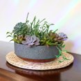 thumbnail image 3 of The HC Companies 8 In Capri Bowl Indoor Succulent Pot, Faux Concrete Copper, 3 of 6