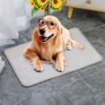 thumbnail image 1 of EQWLJWE Dog Cooling Mat Self Cooling Mat for Dogs, Ice Silk Cooling Pad for Dogs ,Pet Cooling Mat for Dogs Cats-Ice Silk Dog Cooling Mats, Summer Dog Cooling Pads, Dog Crate Mat Cat Cooling Mat, 1 of 8