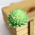 thumbnail image 1 of Artifical Plastic Succulent Plant Echeveria Flower Home Office Decor, 1 of 9