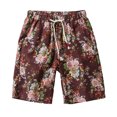 thumbnail image 1 of Cameland Mode Hommes Grande Taille Plage Sport Décontracté Shorts, 1 of 6